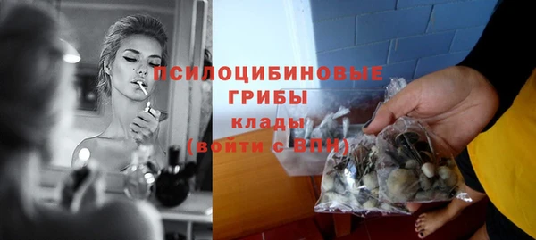гидра Абдулино