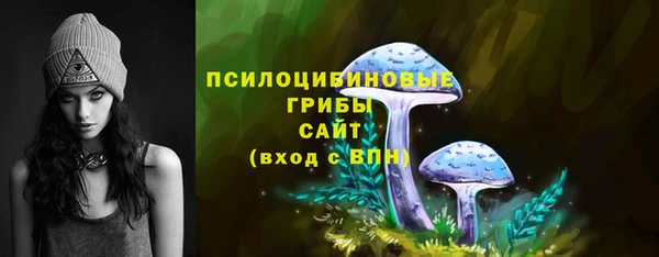 a pvp Алексин