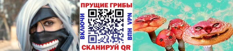 купить наркотик  Лиски  Псилоцибиновые грибы Psilocybe 